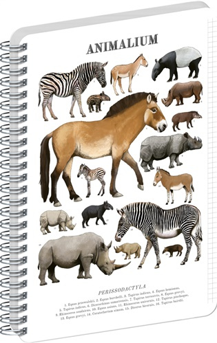 NOTIQUE Špirálový blok Animalium – Nepárnokopytníky