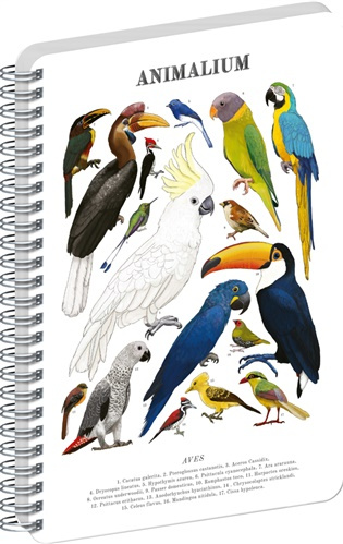 NOTIQUE Špirálový blok Animalium – Vtáky (čistý, A5)