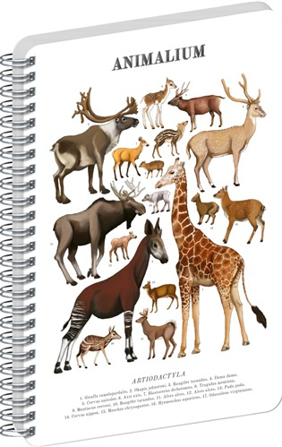 NOTIQUE Špirálový blok Animalium – Párnokopytníky (čistý, A4) - kniha z kategorie Zápisníky