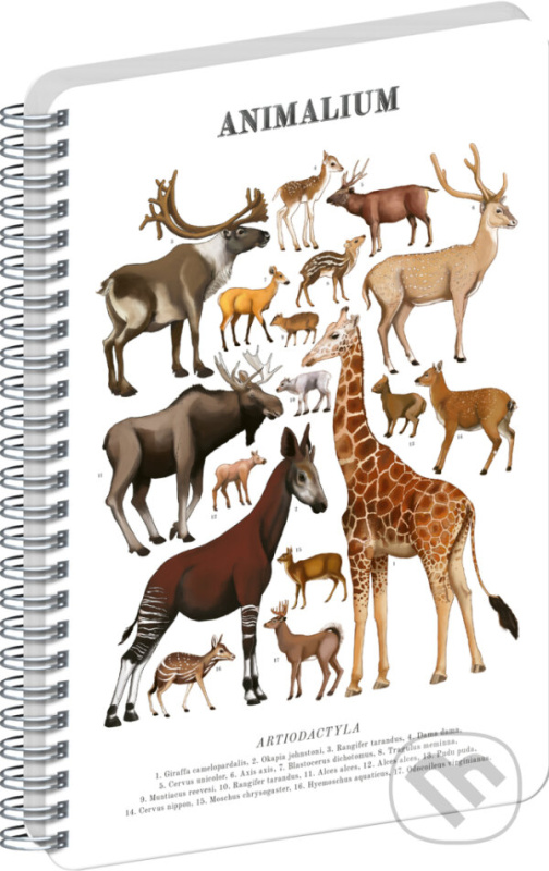 NOTIQUE Špirálový blok Animalium – Párnokopytníky (čistý, A4) - kniha z kategorie Zápisníky