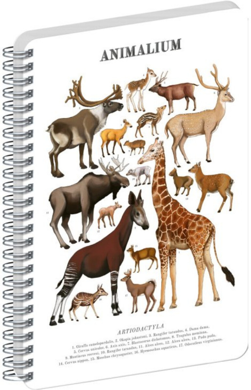 NOTIQUE Špirálový blok Animalium – Párnokopytníky (čistý, A5)