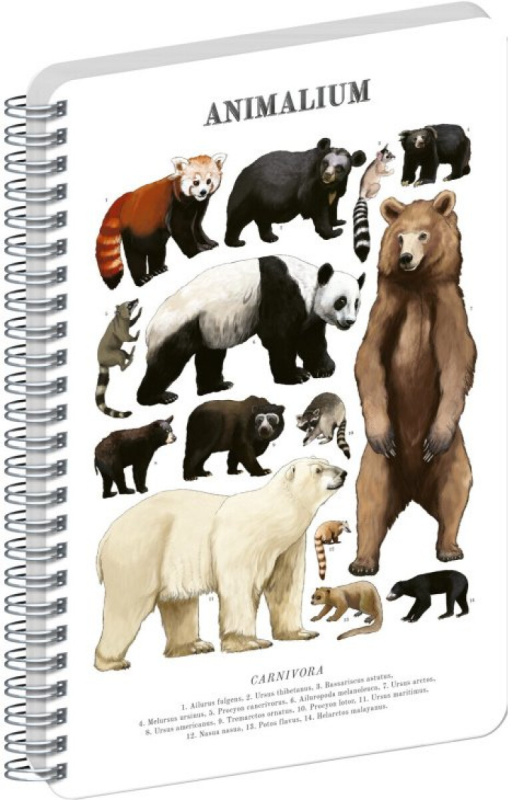 NOTIQUE Špirálový blok Animalium – Medveďovité šelmy