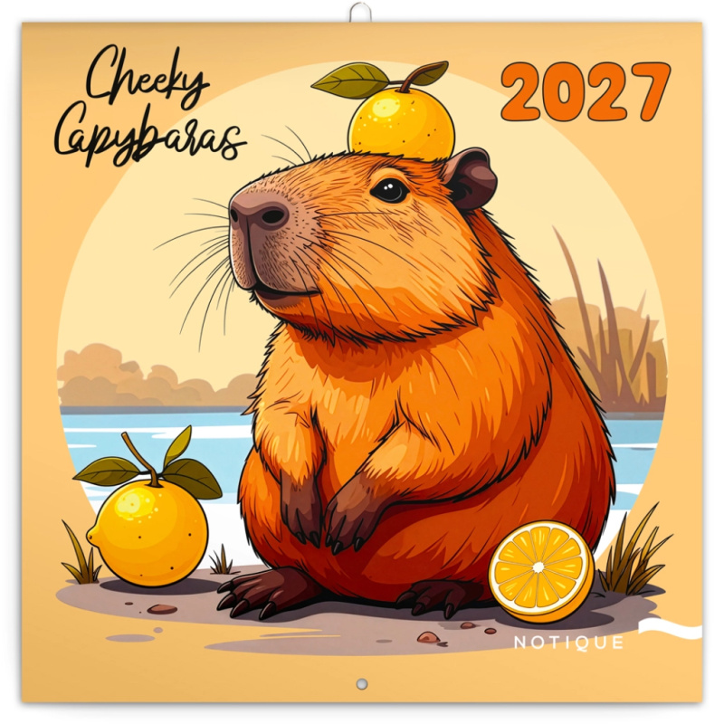 Notique nástěnný poznámkový kalendář Cheeky Capybaras 2027, 30 × 30 cm