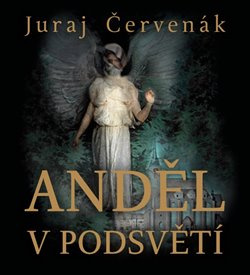 Anděl v podsvětí - Červenák Juraj, Vázaná