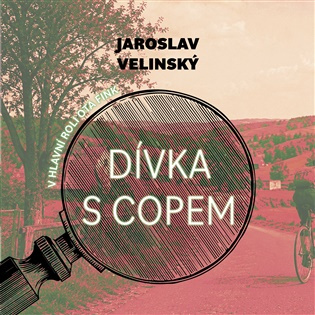 Dívka s copem -  Jaroslav Velinský