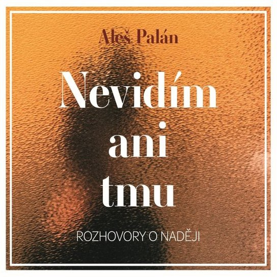 Nevidím ani tmu, mp3 - Aleš Palán