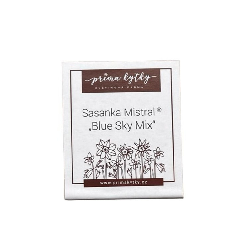 Prima kytky Sasanka Mistral "Blue Sky Mix" cibule, balení