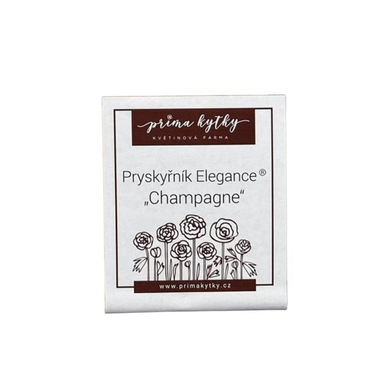Prima kytky Pryskyřníky "Champagne" cibule, balení