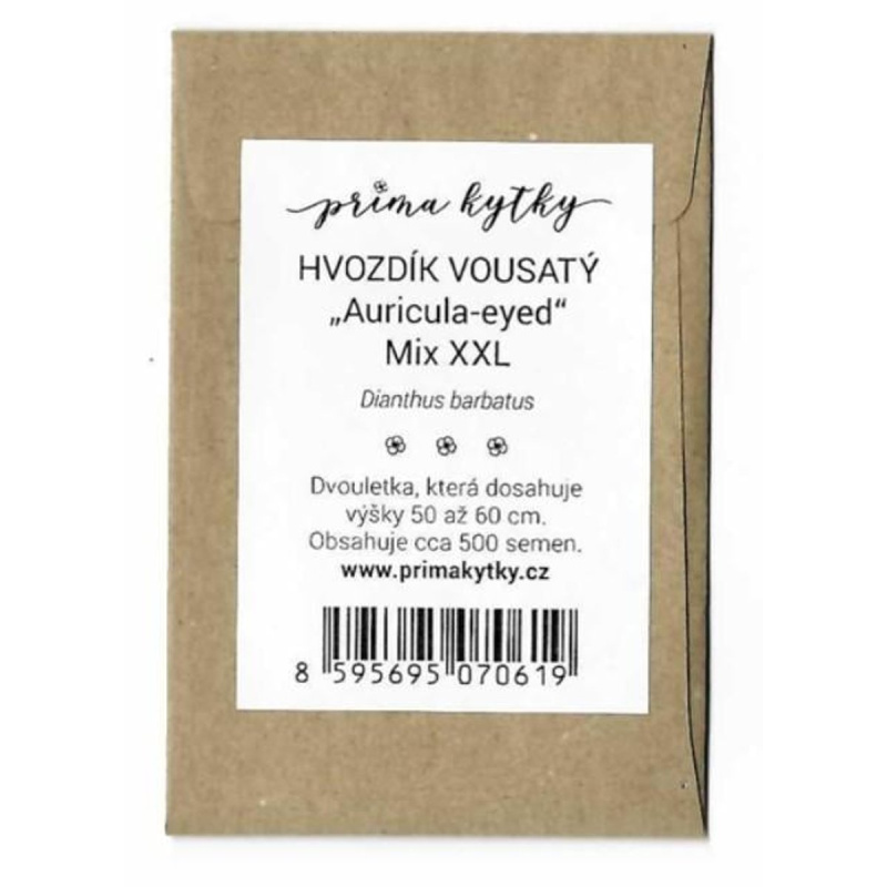 Prima kytky Hvozdík vousatý "Auricula Eyed" XXL mix