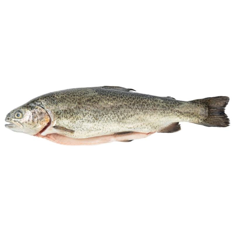 FJORU BIO Pstruh kuchaný
