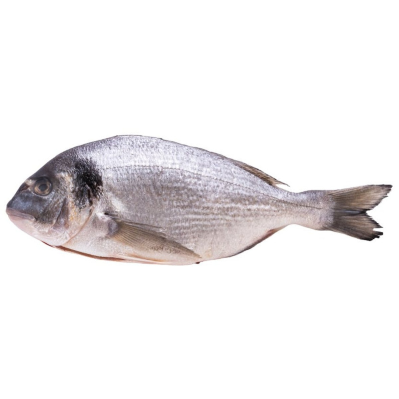 Pražma královská kuchaná