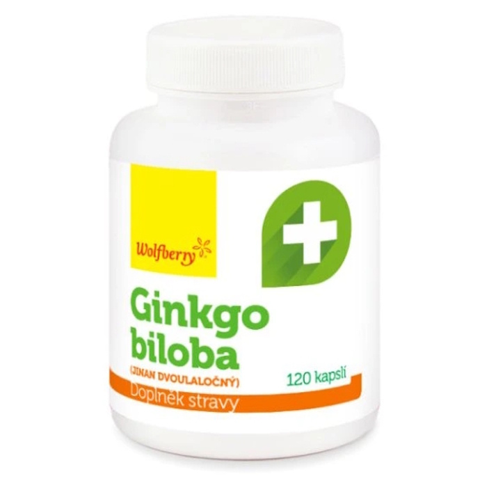 WOLFBERRY Ginkgo biloba 120 kapslí