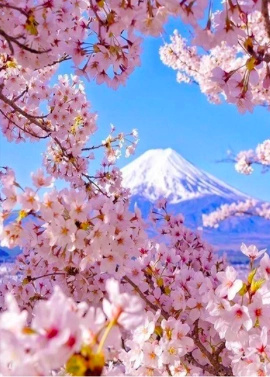 Sada na diamantové malování - Pohled na zasněženou horu