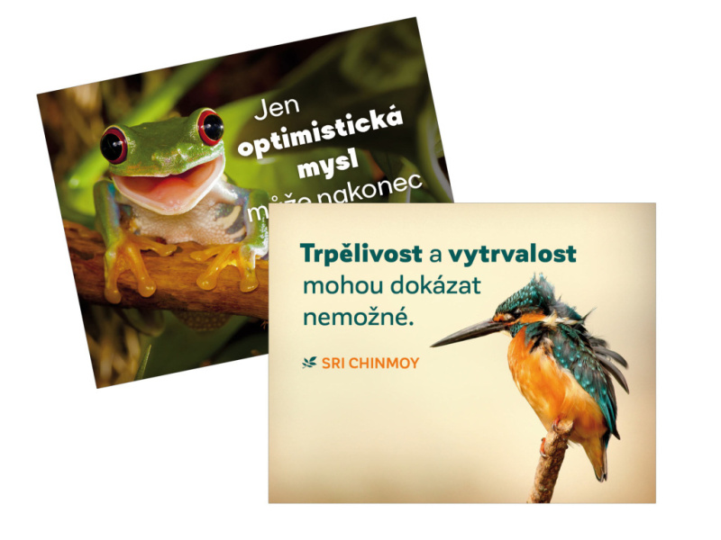 magnety na lednici Trpělivost + Jen optimistická (2 kusy)