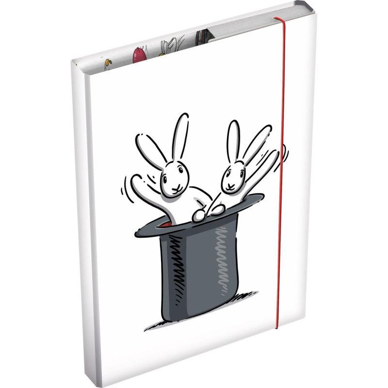 Desky na sešity box A4 Bob a Bobek