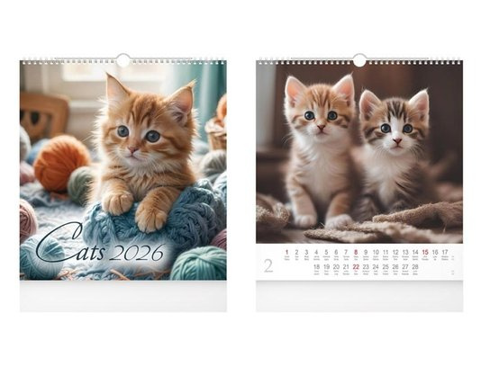 Cats 2026 - nástěnný kalendář -  Autor Neuveden