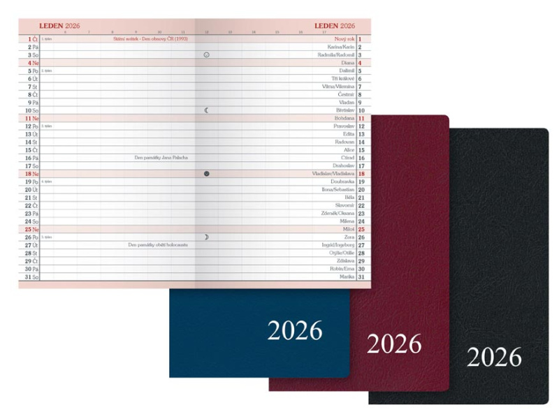 Měsíční diář 2026 MFP M104 - PVC, mix barev