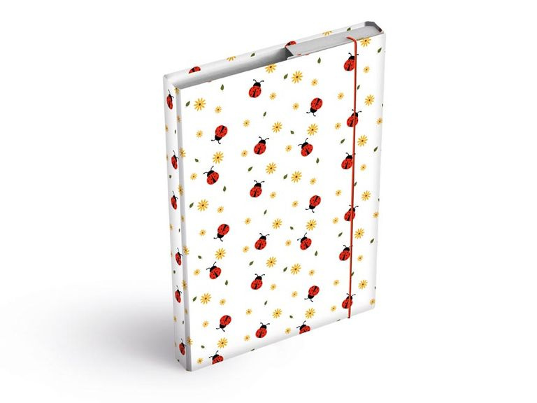 Desky na sešity box A5 berušky