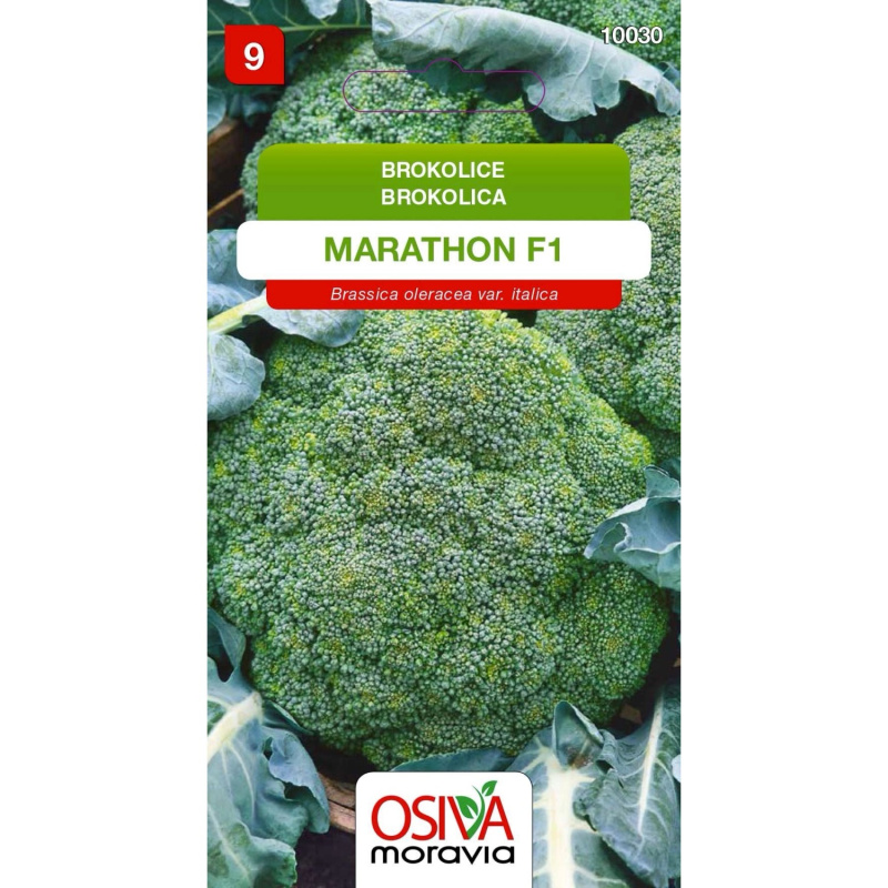 Semínka Brokolice Marathon F1 (Brassica oleracea var. italica)