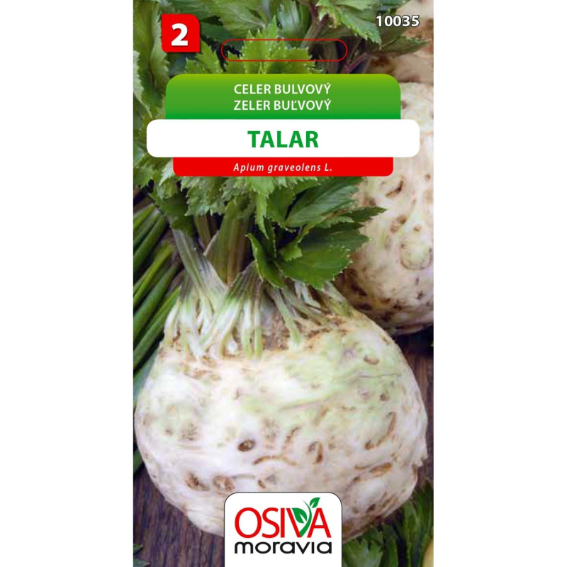 Semínka Celer bulvový Talar (Apium graveolens L.)