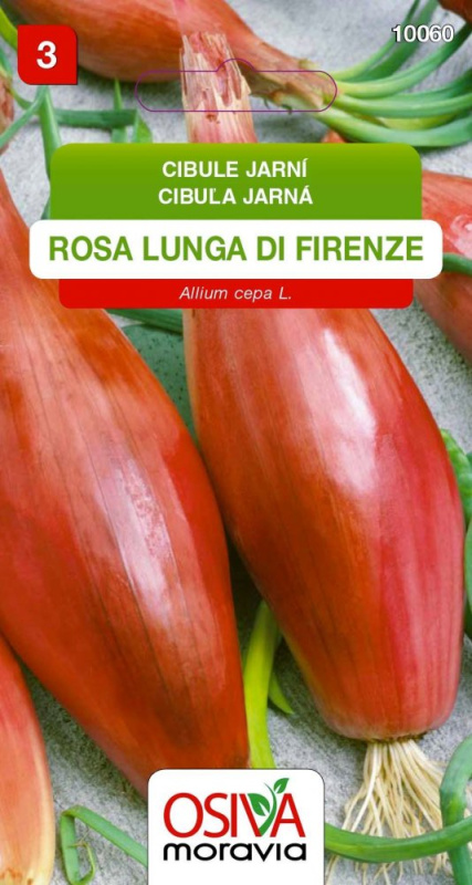 Semínka Cibule jarní Rosa Lunga Di Firenze (Allium cepa L.)