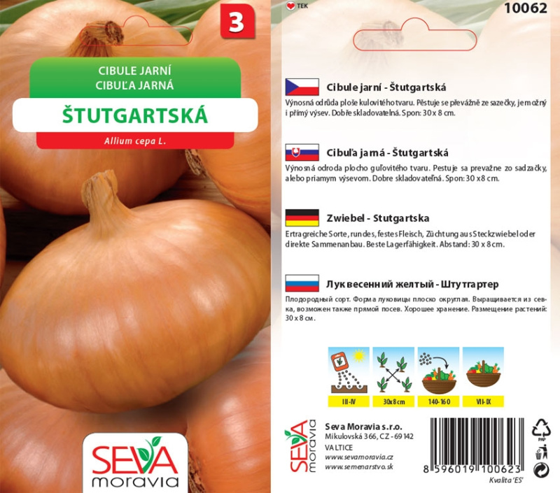 Semínka Cibule jarní Štutgartská (Allium cepa L.)