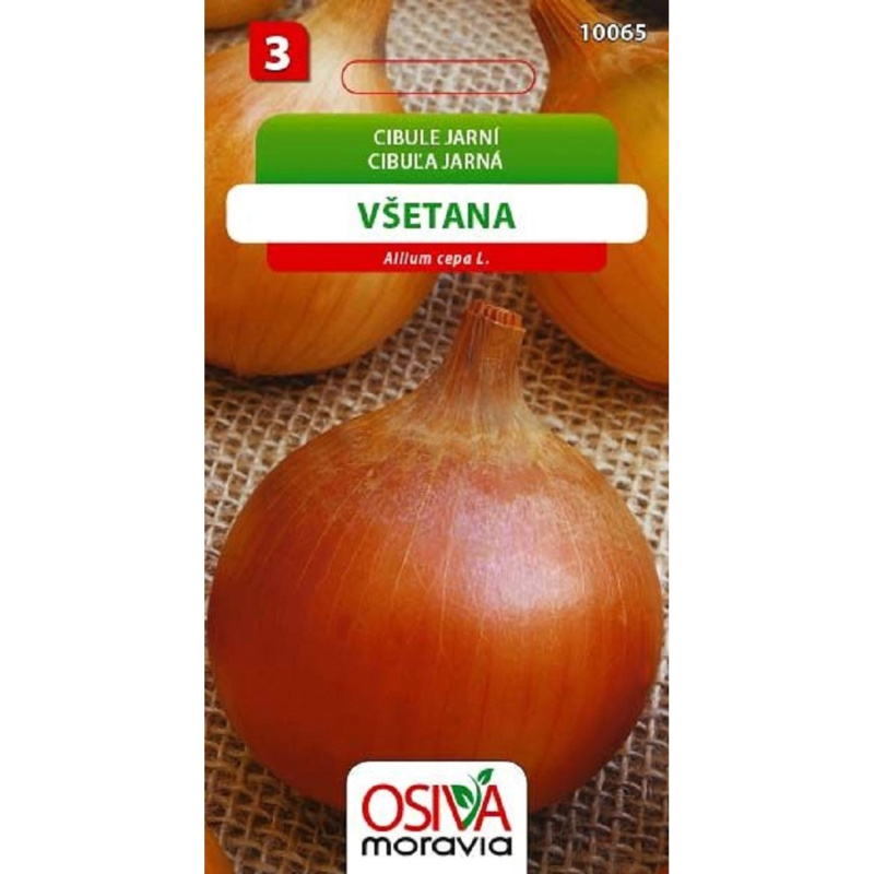 Semínka Cibule jarní Všetana (Allium cepa L.)