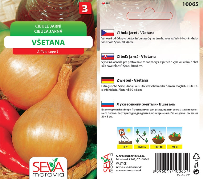 Semínka Cibule jarní Všetana (Allium cepa L.)