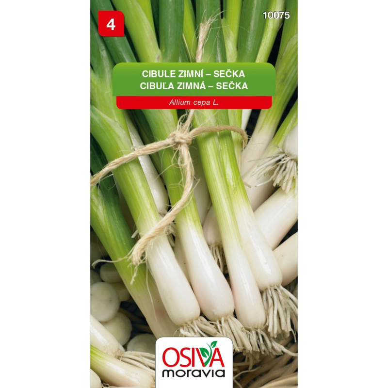 Semínka Cibule zimní sečka (Allium cepa L.)