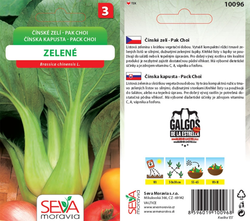 Semínka Čínské zelí zelené Pack Choi (Brassica rapa var. parachinensis)