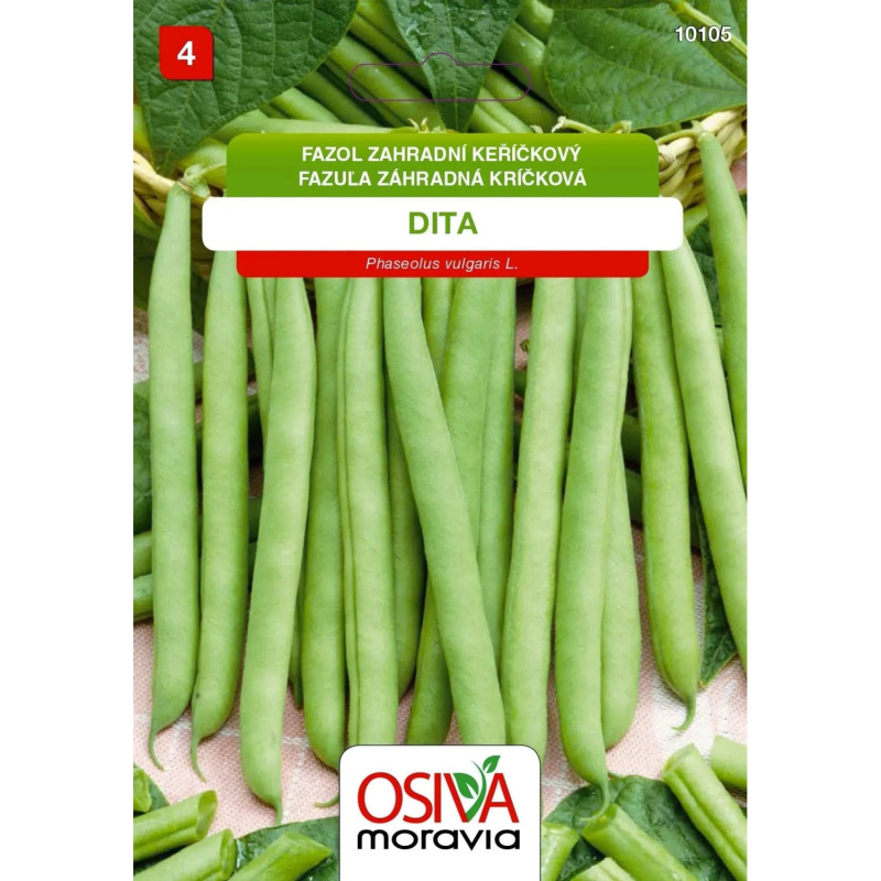 10105/x Fazol Dita 20g