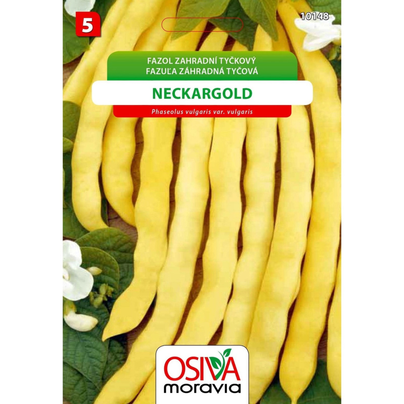 Semínka Fazol zahradní tyčkový Neckargold (Phaseolus vulgaris var. vulgaris)
