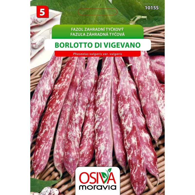 Semínka Fazol zahradní tyčkový Borlotto Di Vigevano (Phaseolus vulgaris var. vul