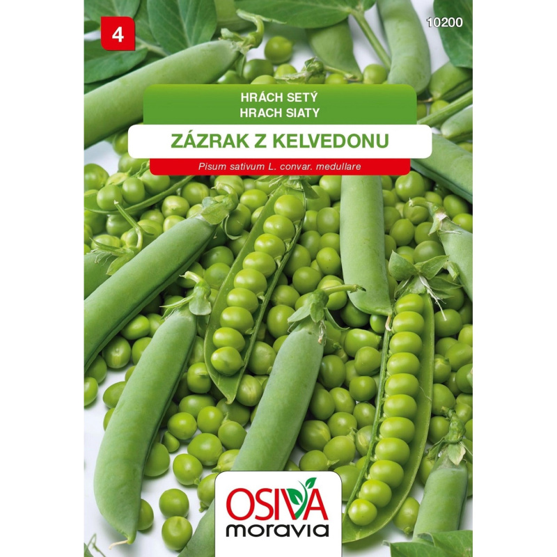 Semínka Hrách setý "Zázrak z Kelvedonu" (Pisum sativum L. convar. medullare)