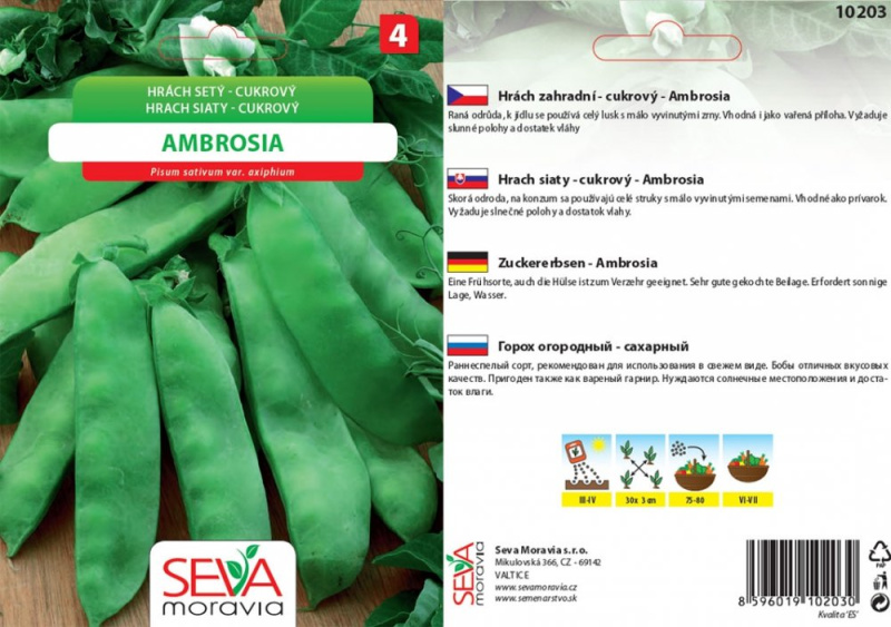 Semínka Hrách setý cukrový Ambrosia (Pisum sativum L.)