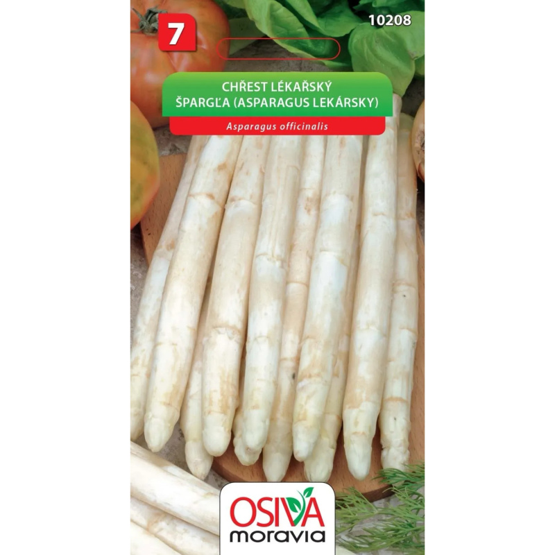 Semínka Chřest lékařský (Asparugus officinalis)
