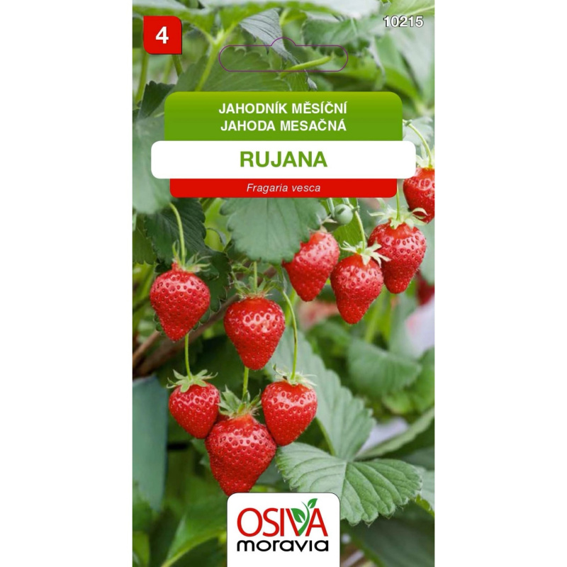 Semínka Jahodník měsíční Rujana (Fragaria vesca)