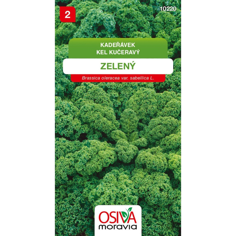 Semínka Kadeřávek zelený (Brassica oleracea var. sabellica L.)