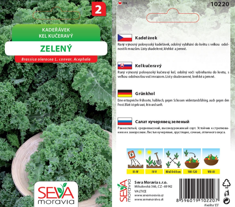 Semínka Kadeřávek zelený (Brassica oleracea var. sabellica L.)