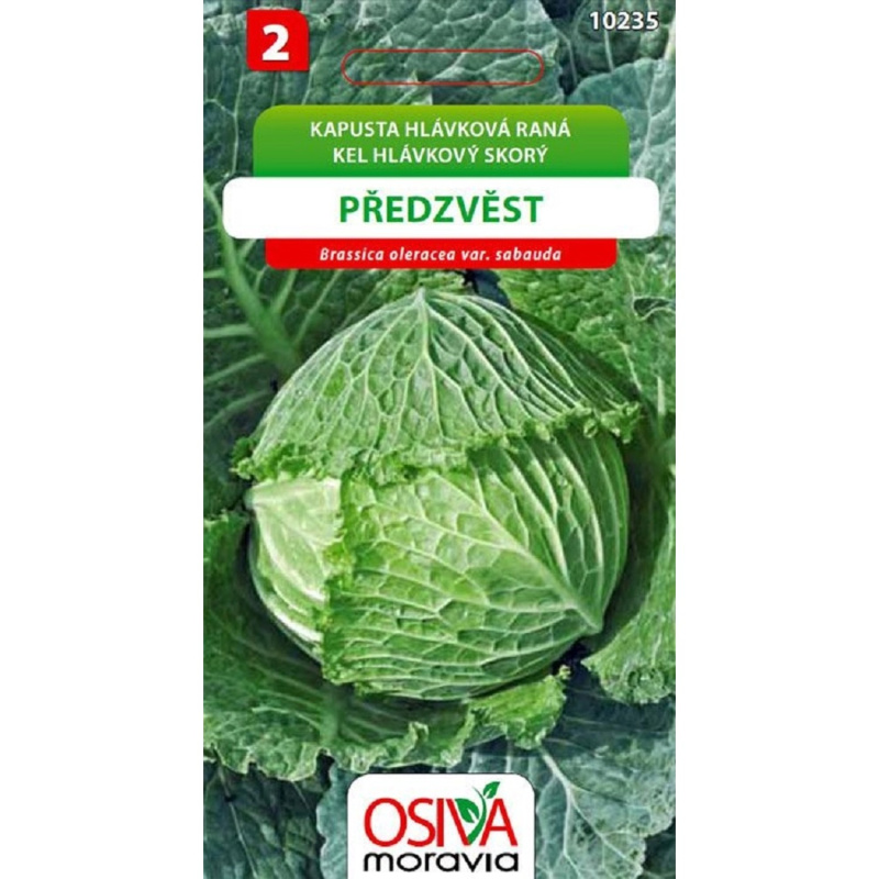 Semínka Kapusta hlávková raná Předzvěst (Brassica oleracea var. sabauda)