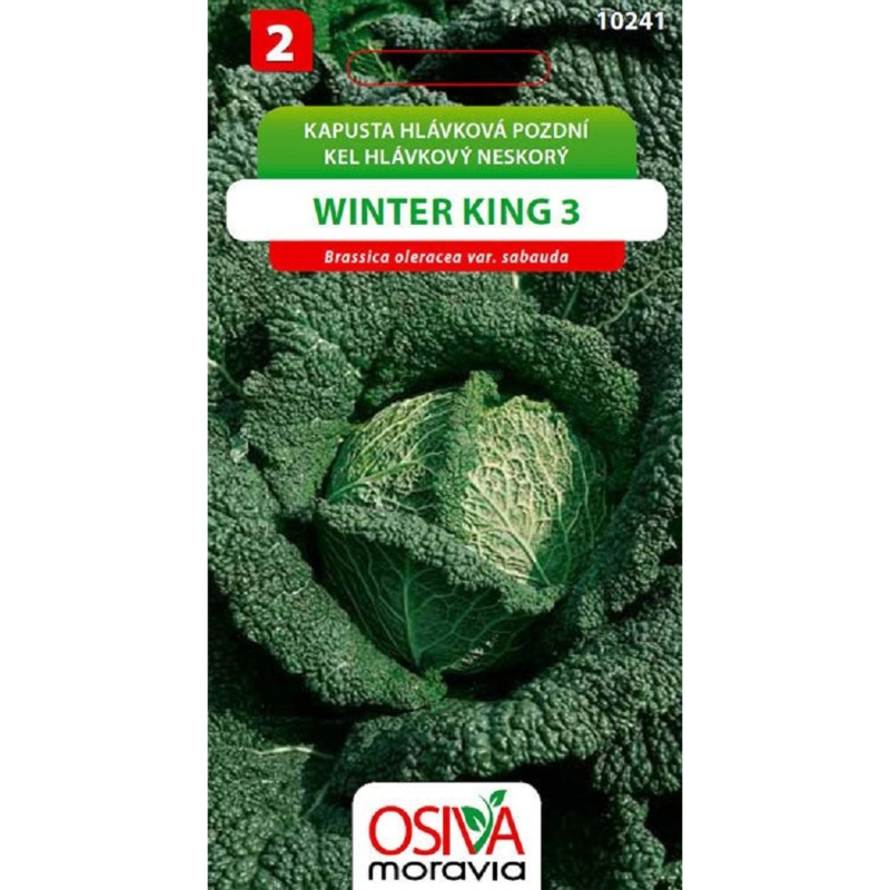 Semínka Kapusta hlávková pozdní Winter King 3 (Brassica oleracea var. sabauda)