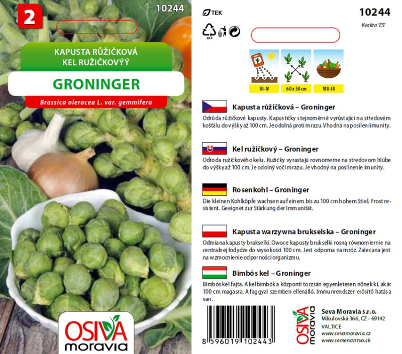 Semínka Kapusta růžičková Groninger (Brassica oleracea var. gemmifera)