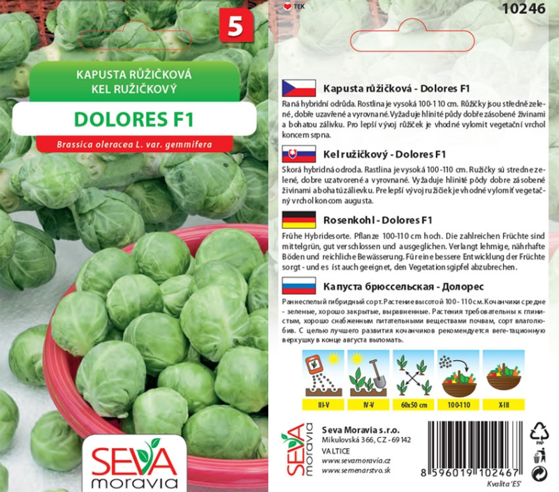 Semienka Kapusta růžičková Dolores F1