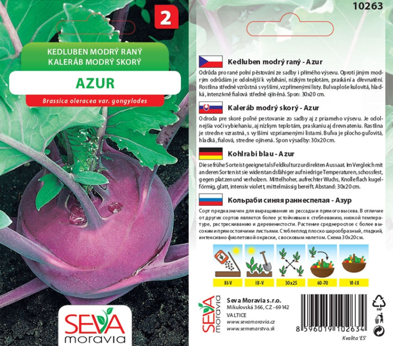 Semínka Kedluben modrý raný Azur (Brassica oleracea var. gongylodes)