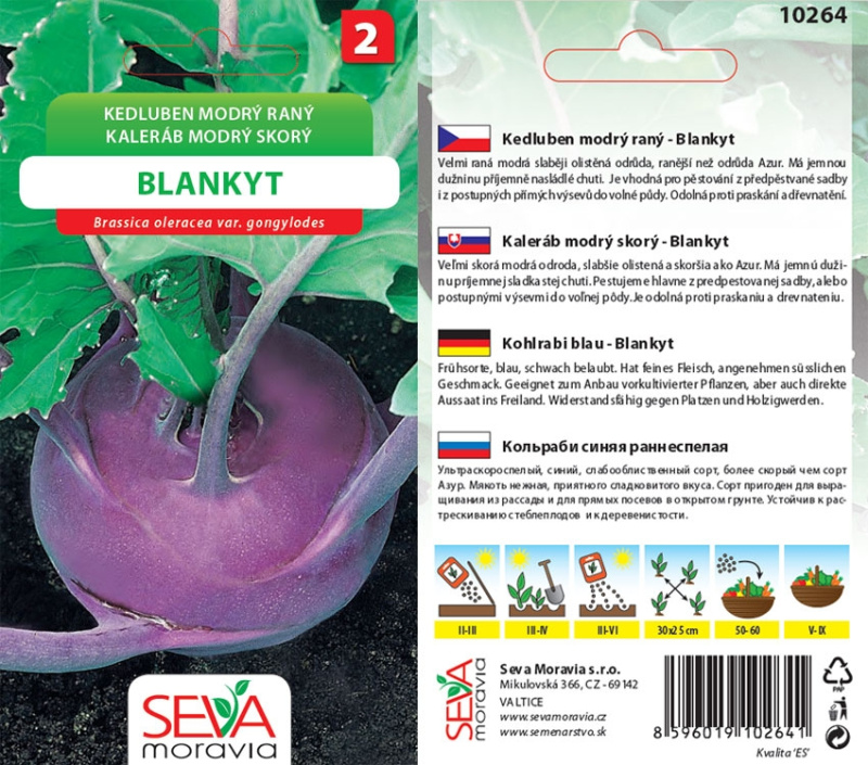 Semínka Kedluben modrý raný Blankyt (Brassica oleracea var. gongylodes)