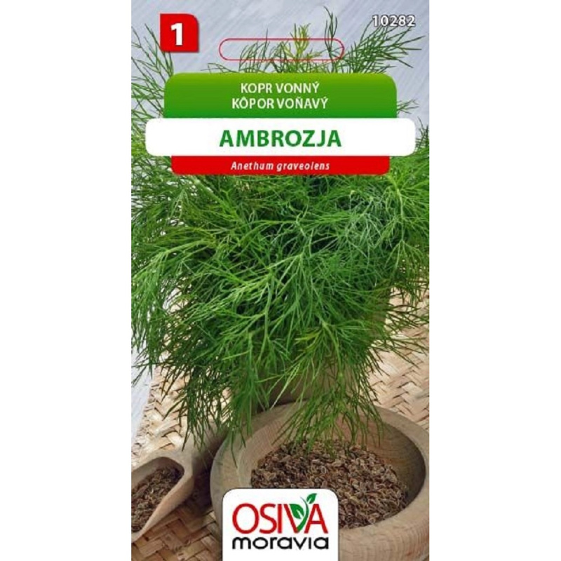 Semínka Kopr vonný Ambrozja (Anethum graveolens)