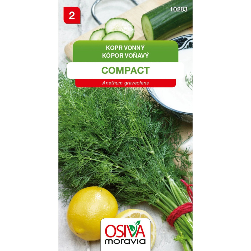Semínka Kopr vonný Compact (Anethum graveolens)