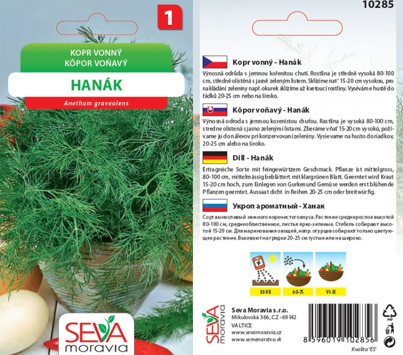 Osiva Moravia Kopr vonný Hanák