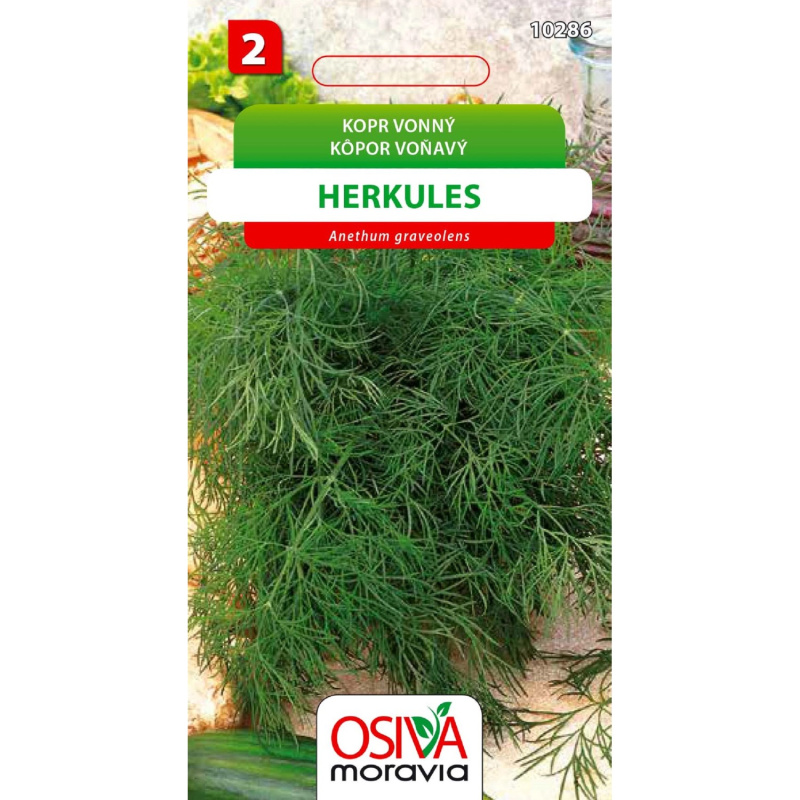 Osiva Moravia Kopr vonný Herkules