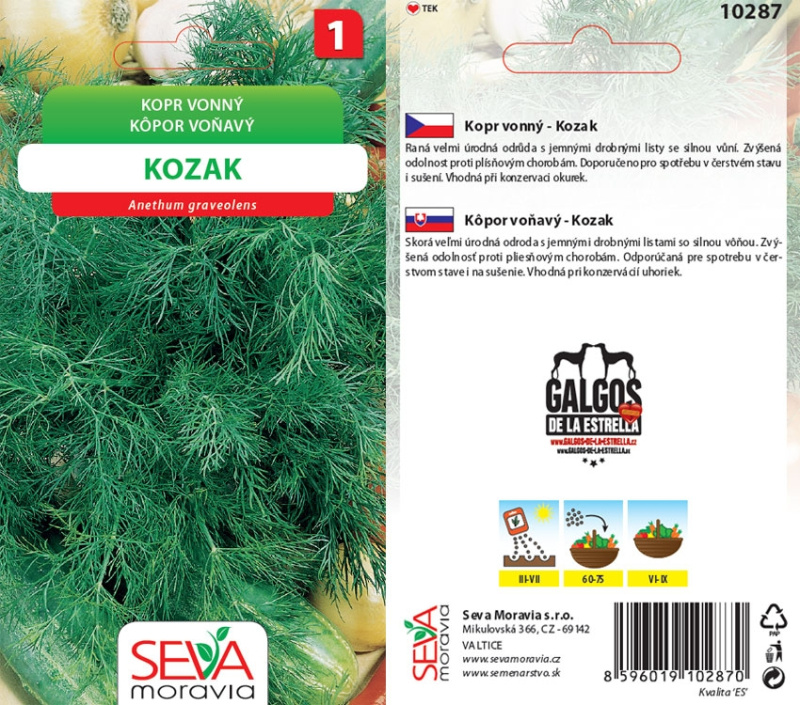 Semínka Kopr vonný Kozak (Anethum graveolens)